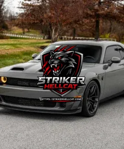 2019 Dodge Challenger SRT Hellcat Redeye Widebody