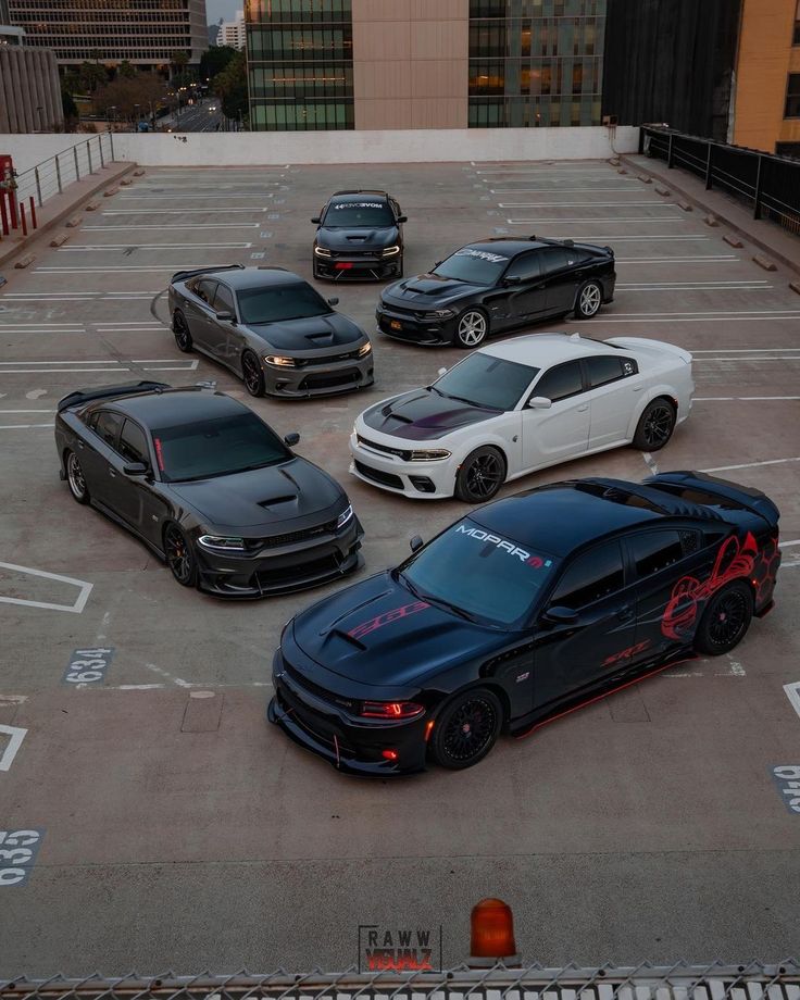 Find Your Striker Hellcat Today: Top 5 Reasons to Buy a Striker Hellcat Today