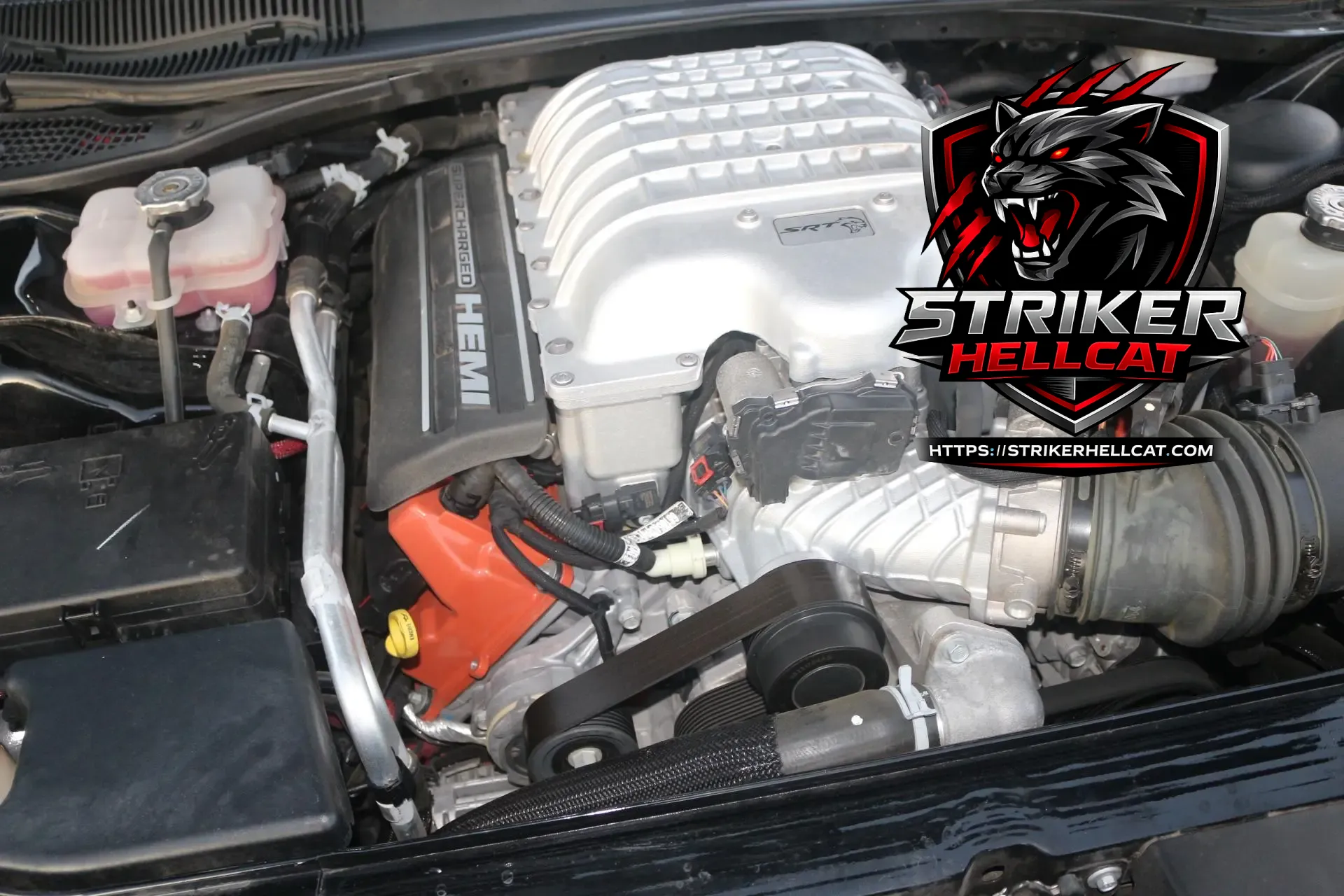 2015 Dodge Challenger SRT Hellcat 6-Speed - Image 14