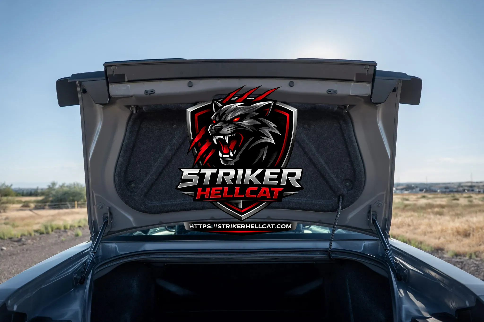 2018 Dodge Challenger SRT Demon - Image 12