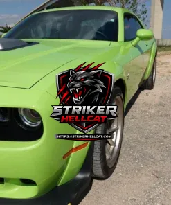 2023 Dodge Challenger R/T Scat Pack Widebody Swinger