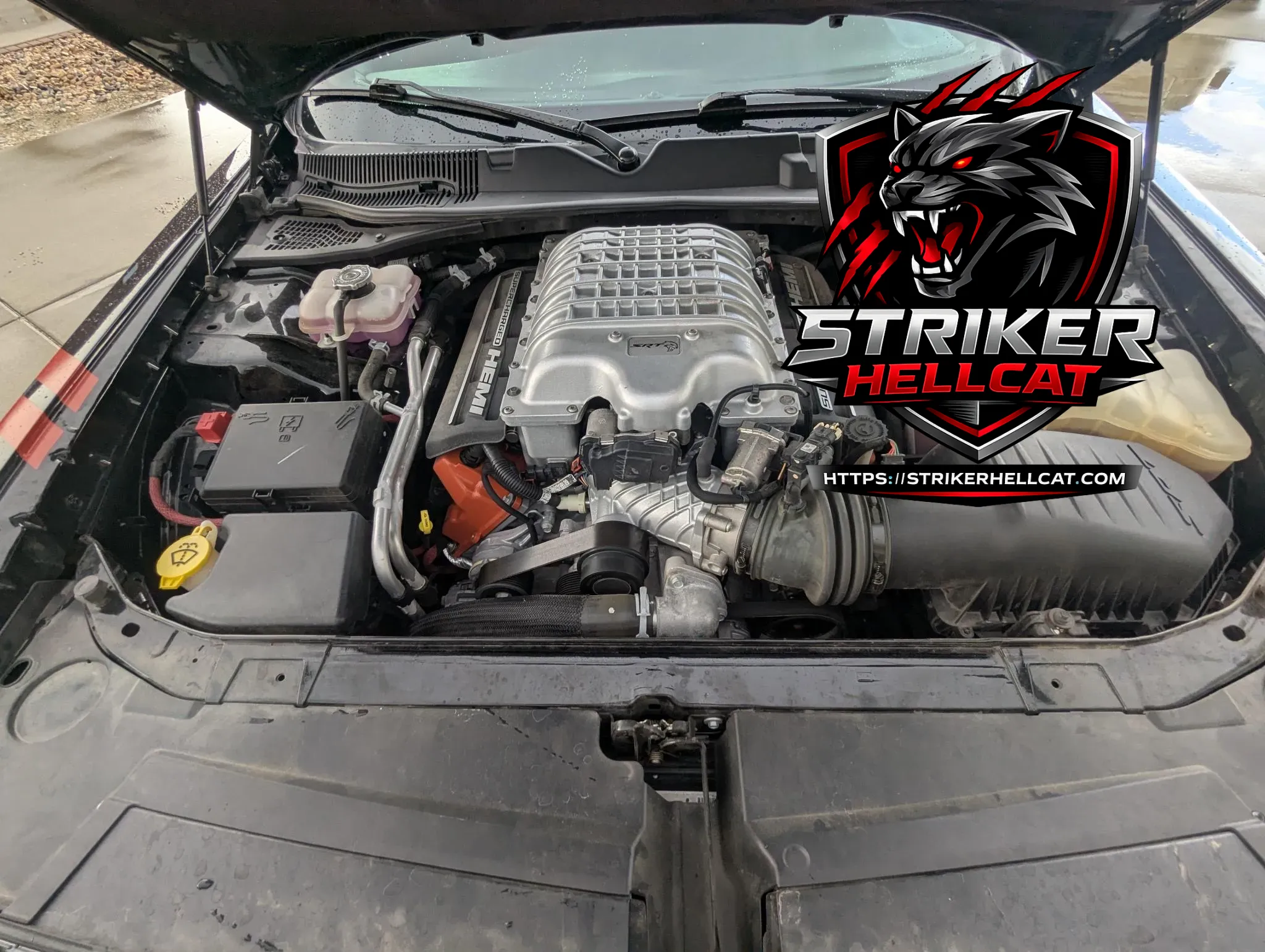 2015 Dodge Challenger SRT Hellcat 6-Speed - Image 17