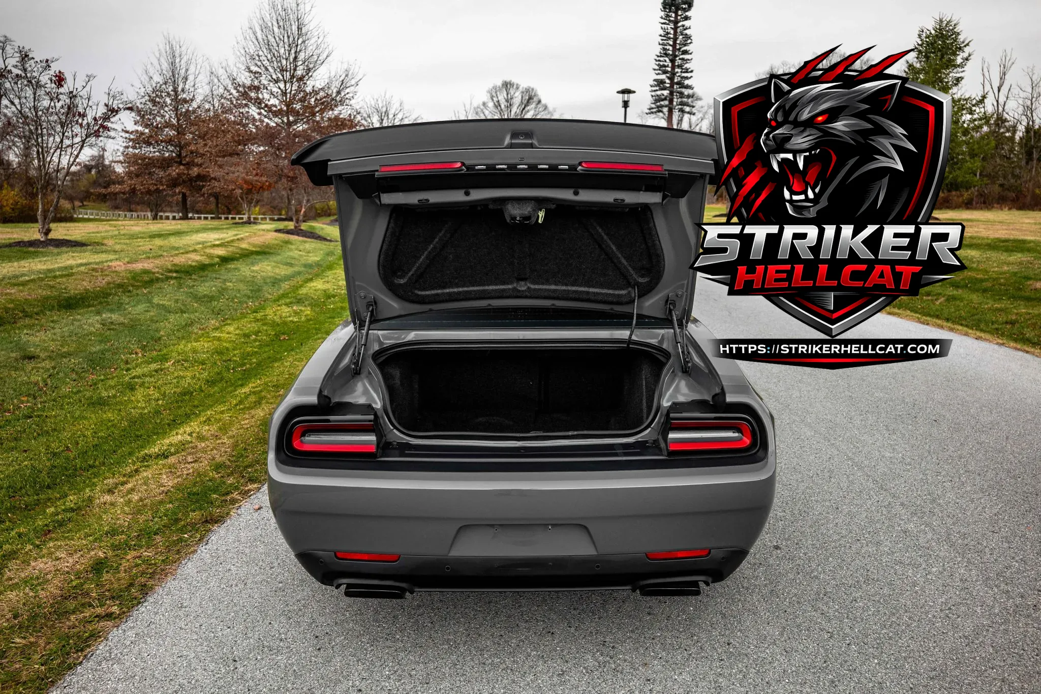 2019 Dodge Challenger SRT Hellcat Redeye Widebody - Image 12